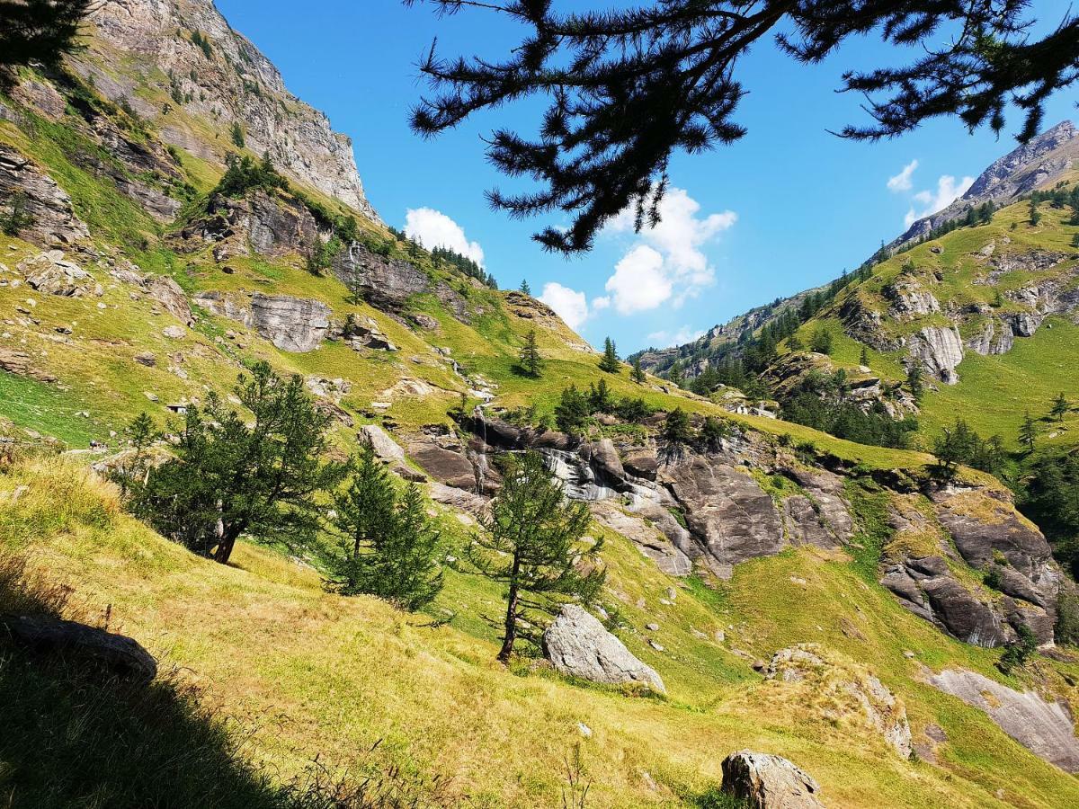 Casa Vacanza In Tipico Chalet Di Montagna Villa Varzo Luaran gambar